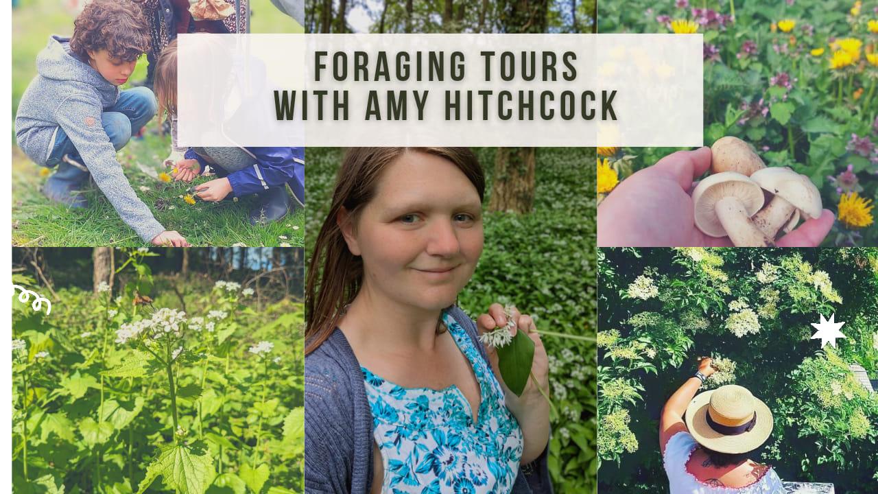 forth and foraging.jpg