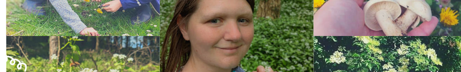 forth and foraging.jpg