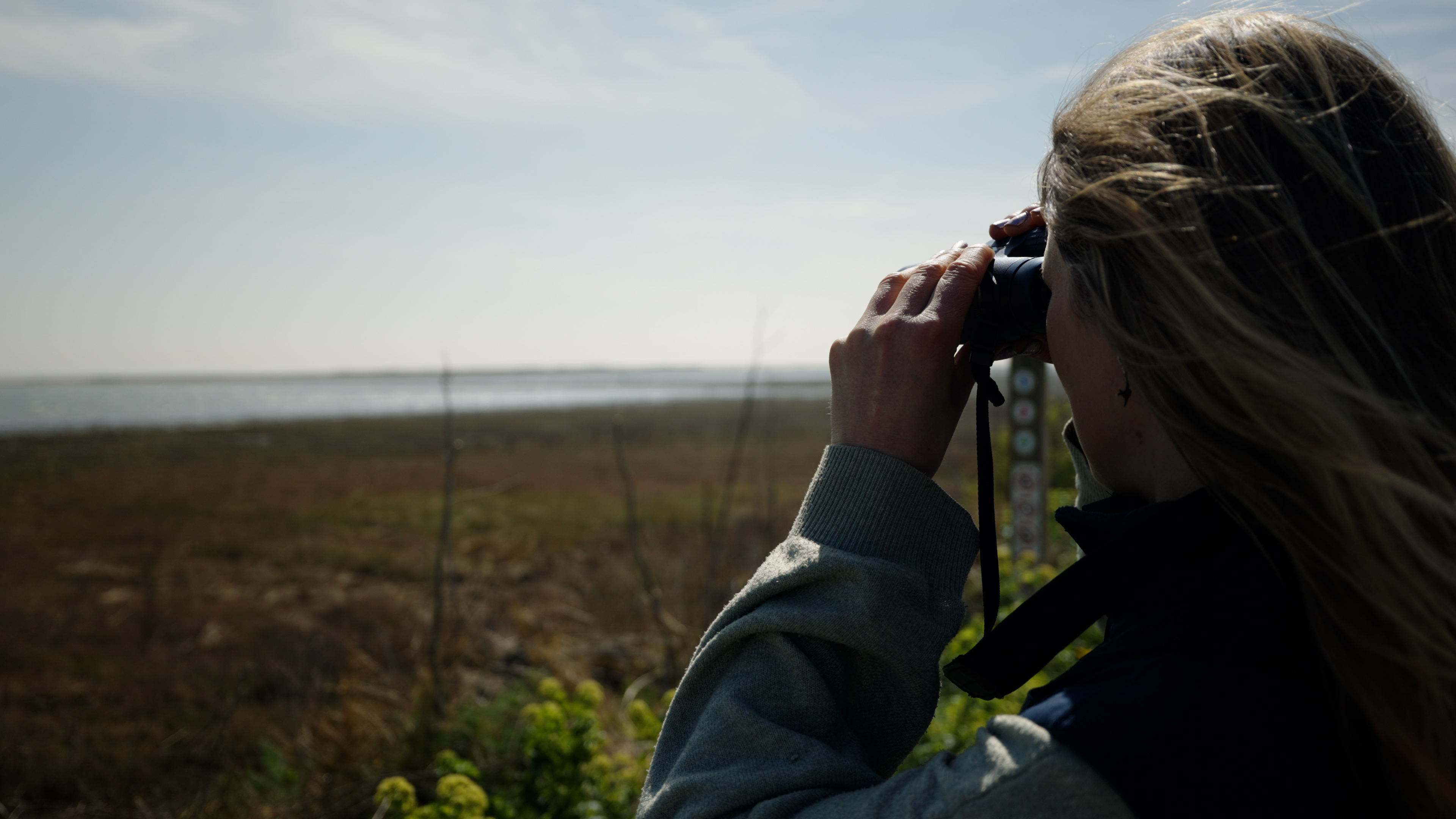 Cut 1.00_01_34_09.Still008.jpg