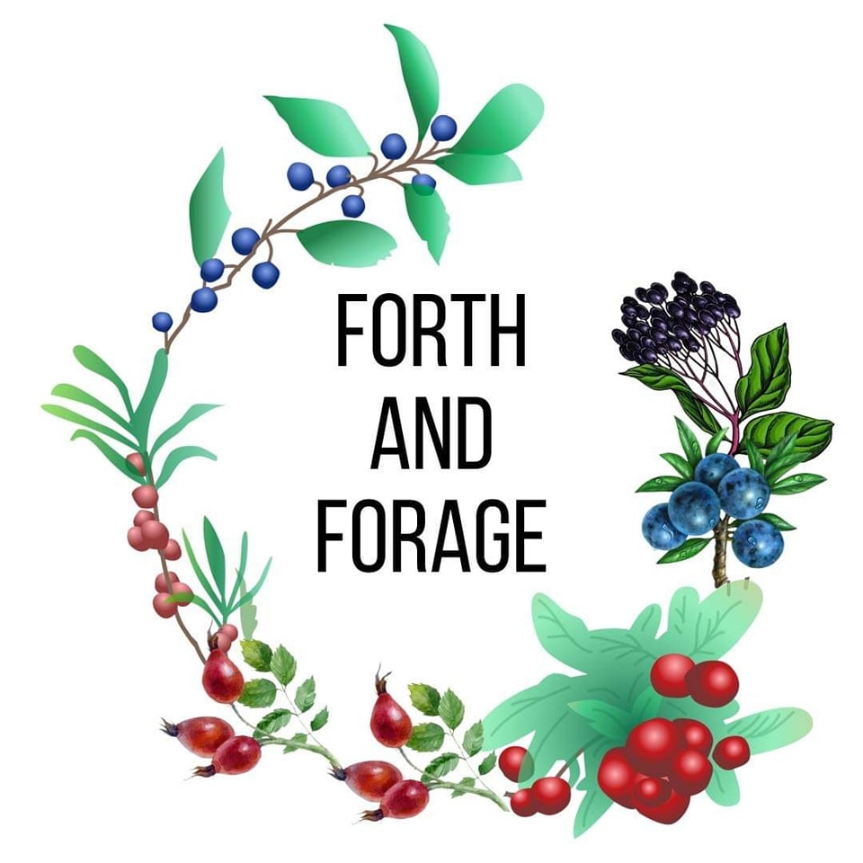 forth and foraget.jpg (1)