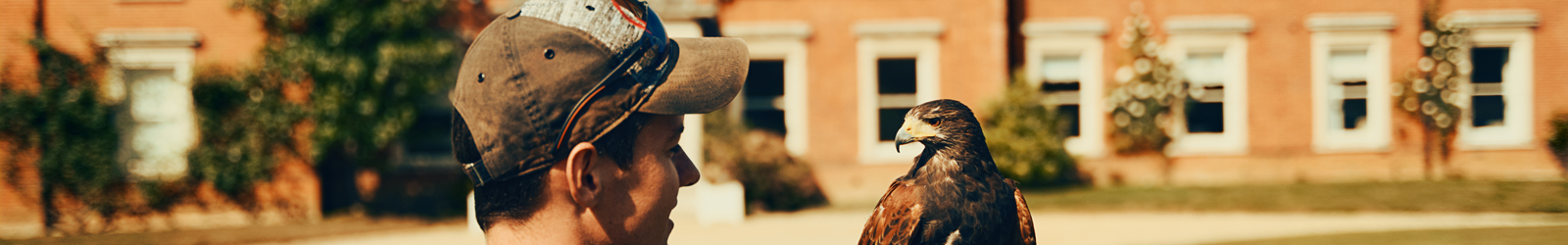 Luke Batchelor17.jpg