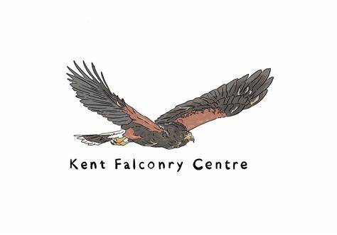 falconry centre.jfif