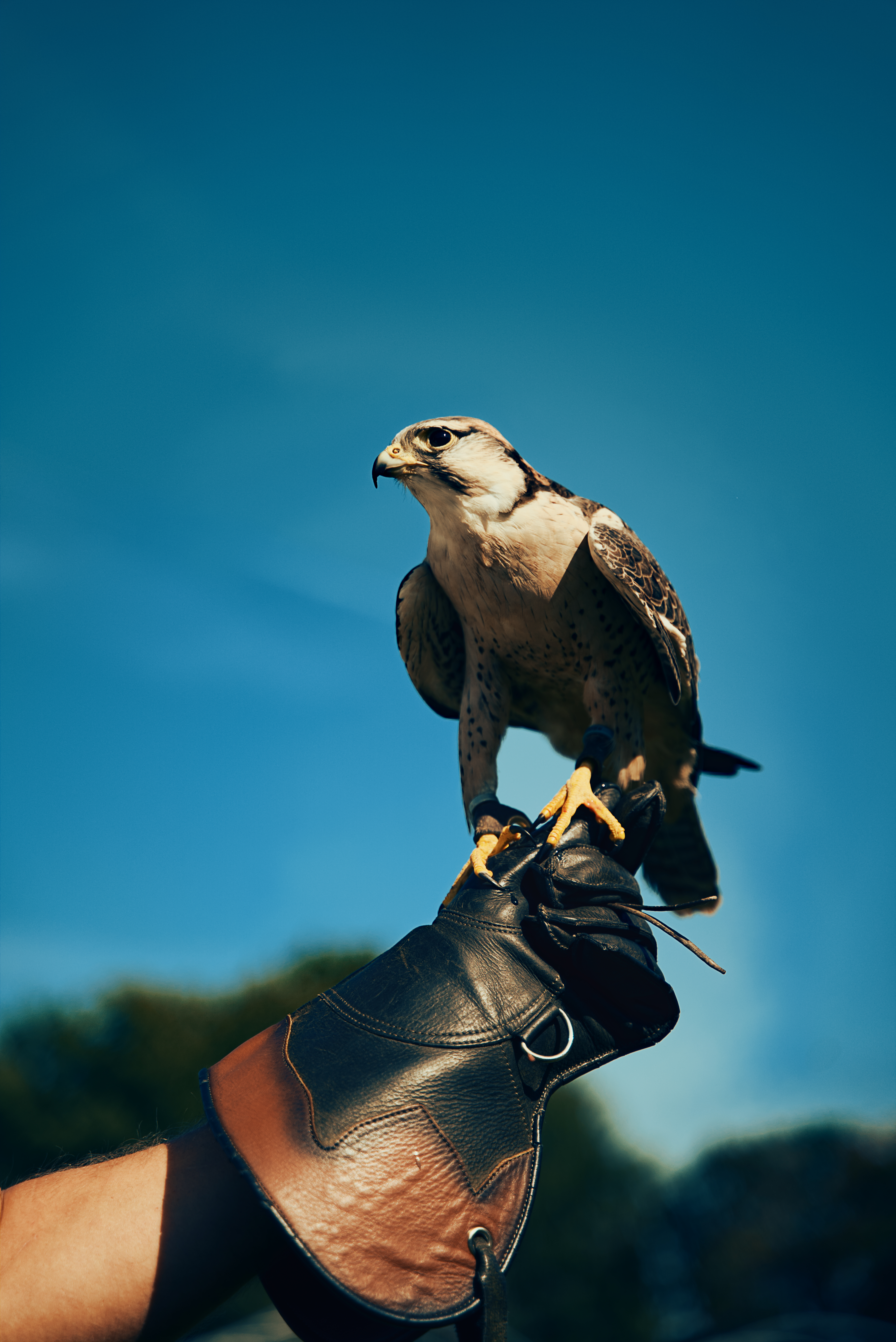 Luke Batchelor30.jpg